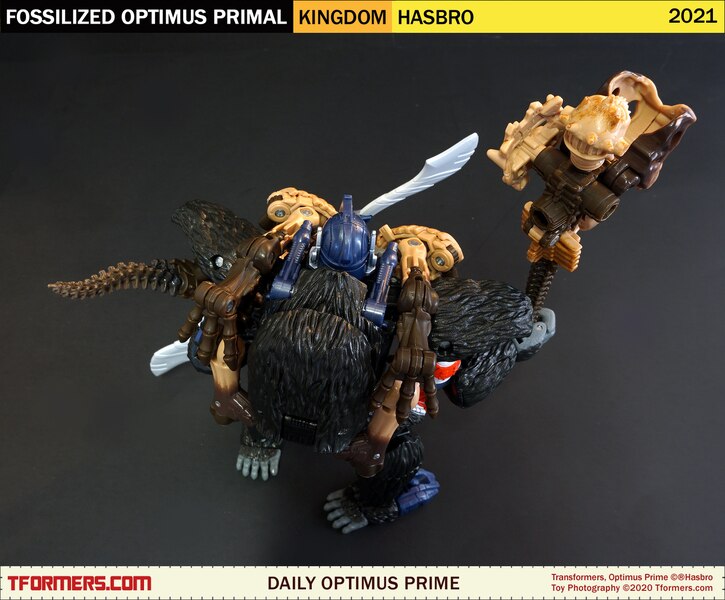 Daily Prime   Transformers Kingdom Fossilized Optimus Primal  (5 of 9)